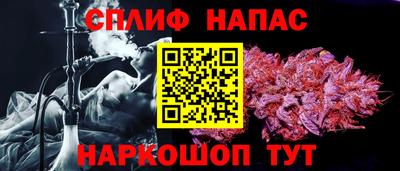 хмурый Тара