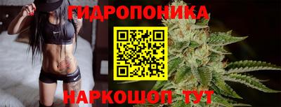 хмурый Тара