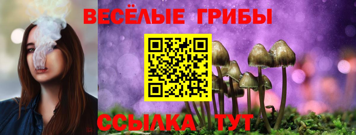 сколько стоит  Вход с VPN  Отрадное  Псилоцибиновые грибы Cubensis  Псилоцибиновые грибы прущие грибы 